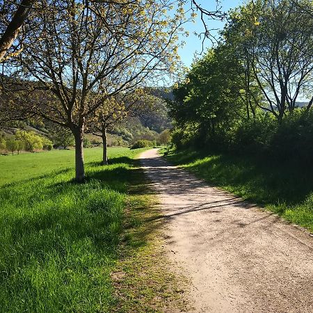Ferienhaus Malefi 1 Am Guelser Moselbogen Koblenz  Kültér fotó